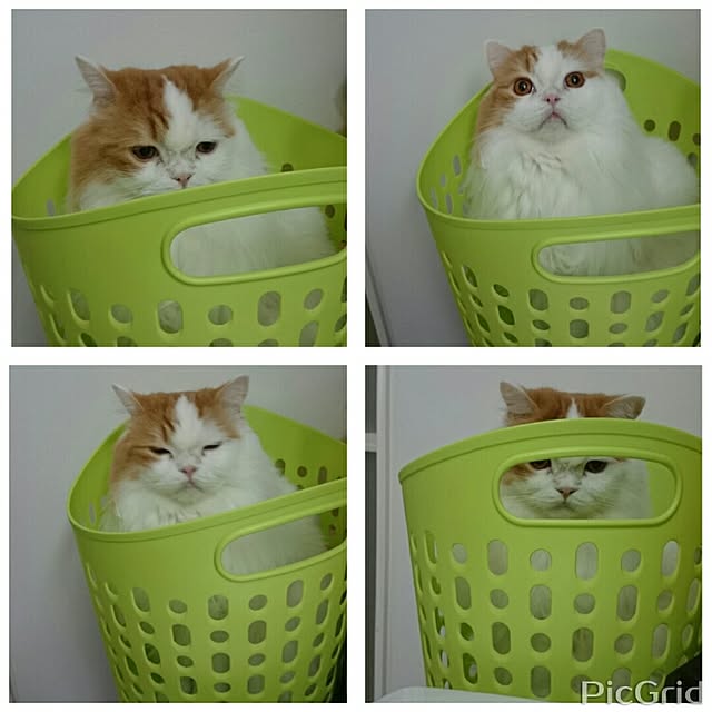 1ldksさんの実例写真