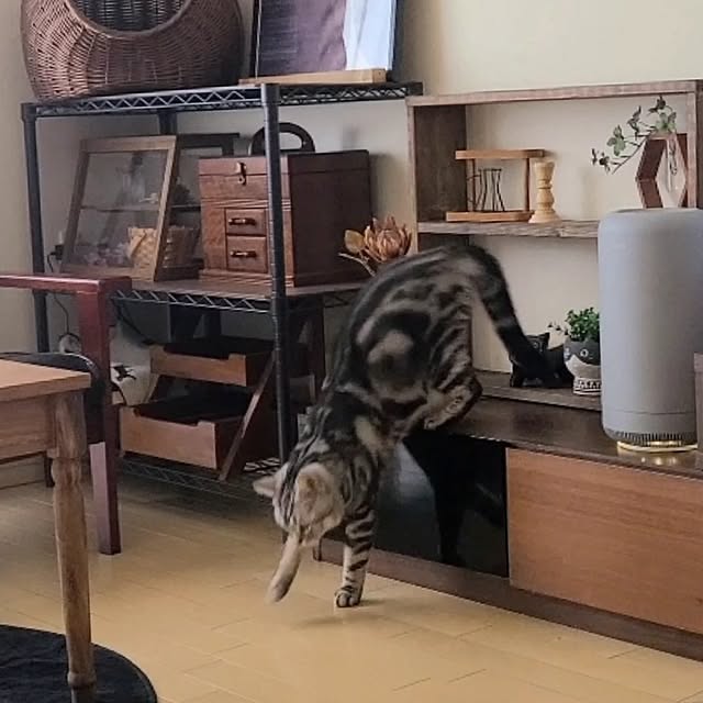 lovepeaceさんの部屋