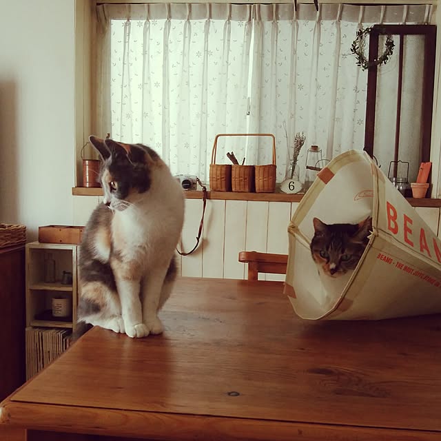 tomo1220さんの実例写真
