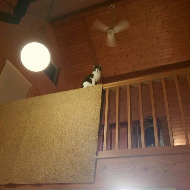 mizuさんの実例写真