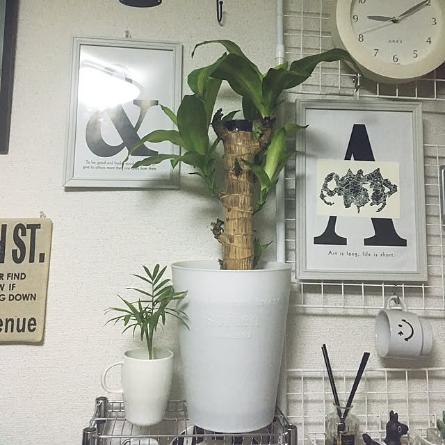 yomiyomiさんの実例写真