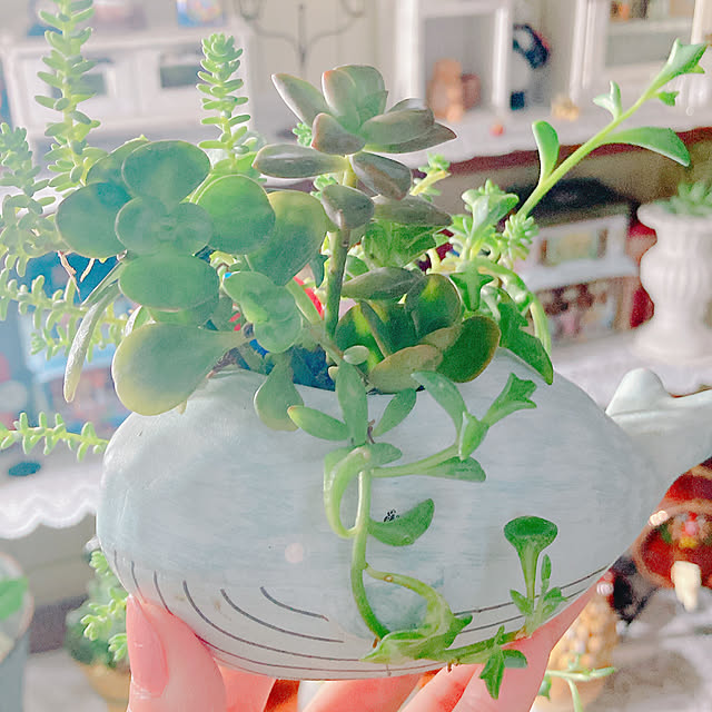 Hanakaさんの部屋