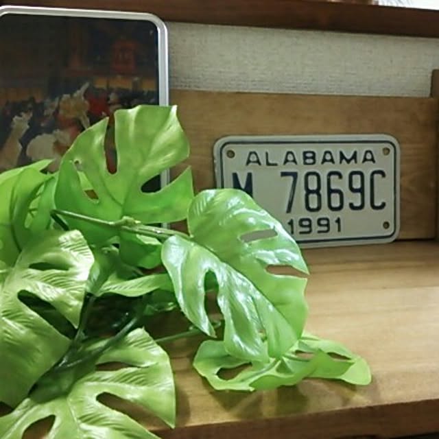 sachaさんの実例写真