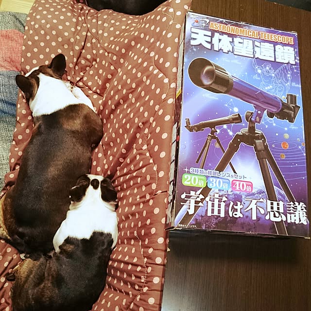 maiさんの実例写真
