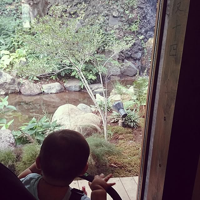 amifuuさんの実例写真