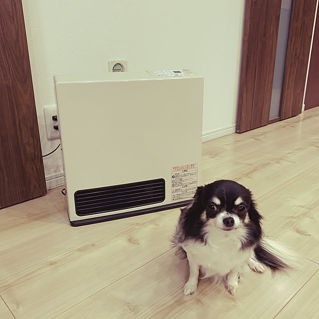 izuさんの実例写真