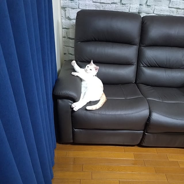 NOAHさんの実例写真