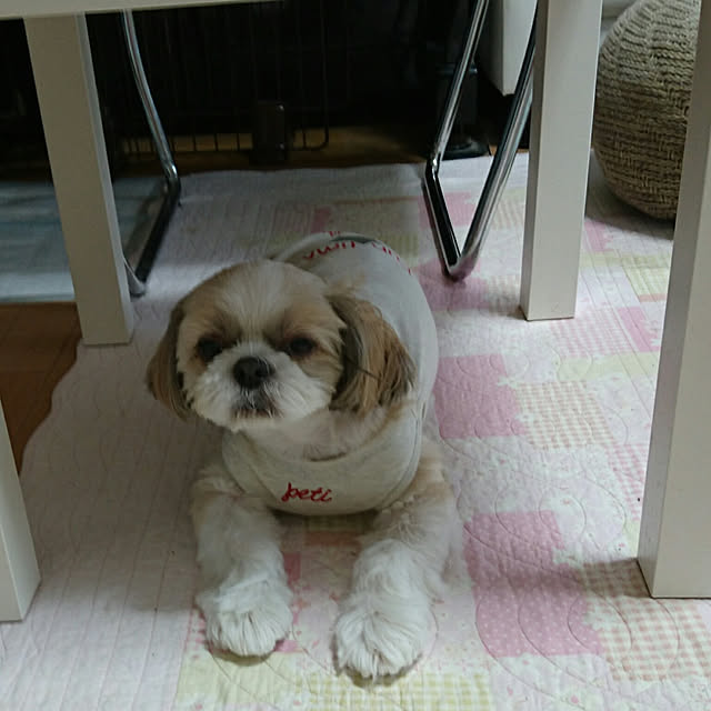 ronさんの実例写真