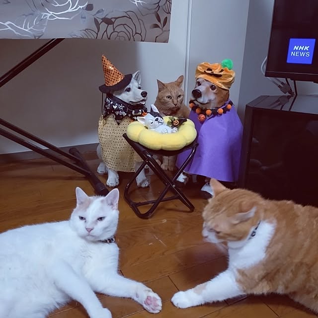 NOAHさんの部屋