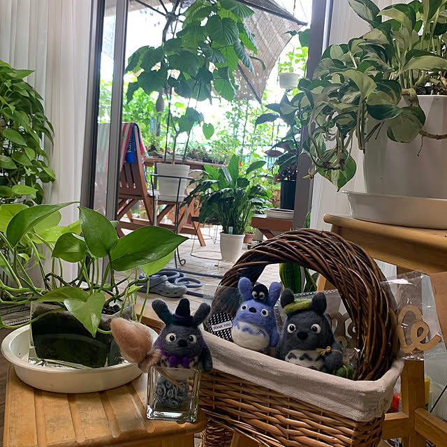 Aqettyさんの部屋