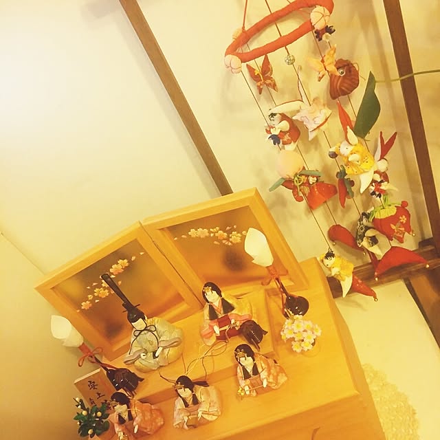 棚のインテリア実例 - 2015-02-07 21:21:51