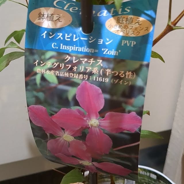 kazuさんの部屋