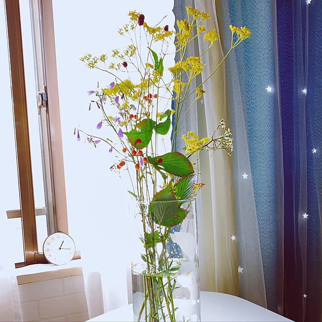 mofuchiさんの実例写真