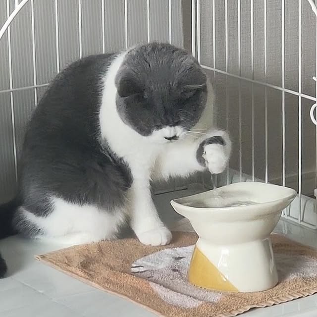 KEIKOさんの部屋