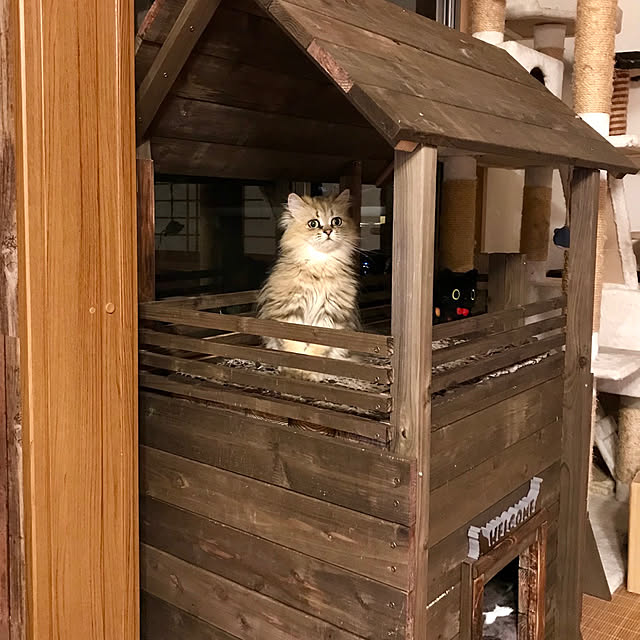 butachanさんの実例写真