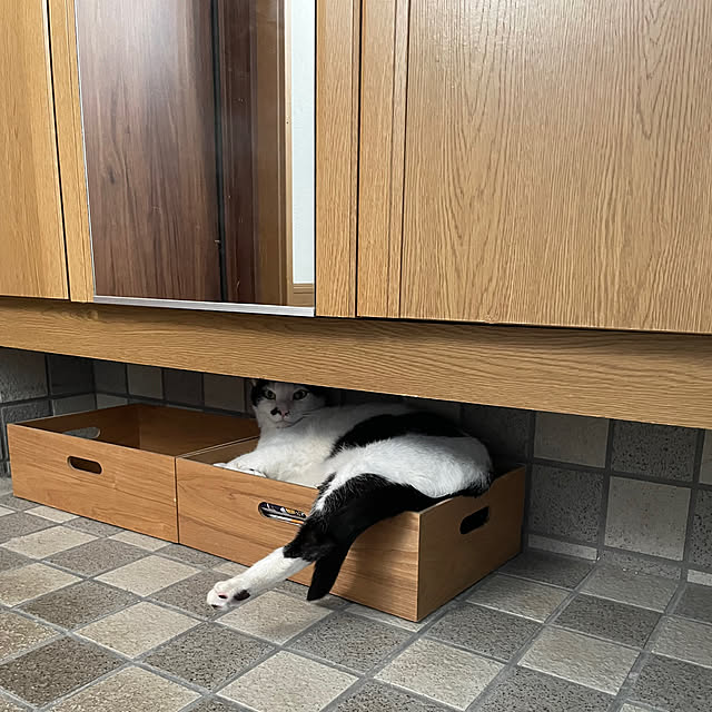 nobikoさんの実例写真