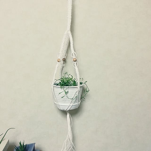 sumieさんの実例写真