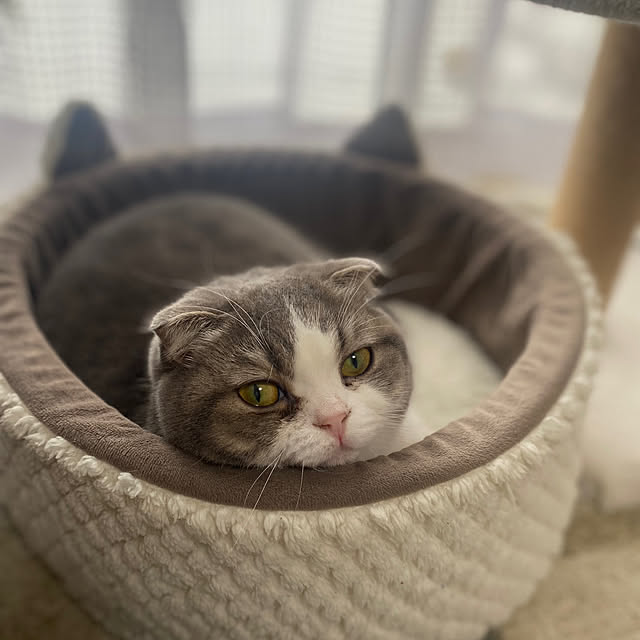 naoさんの実例写真