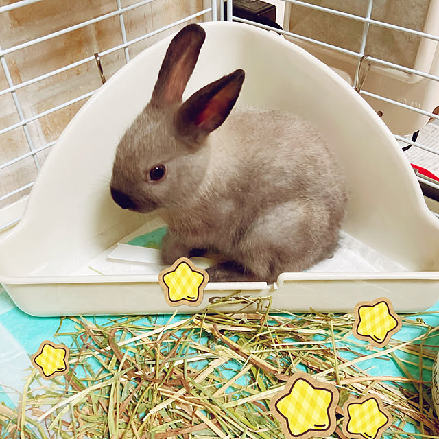 fumofumoさんの実例写真