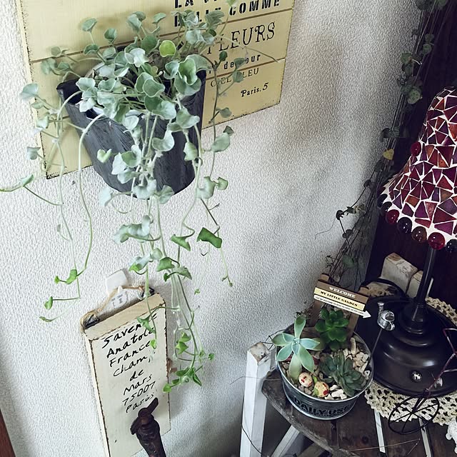 reoreomamaさんの実例写真