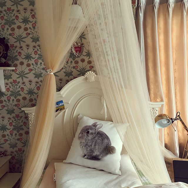 cocoさんの実例写真