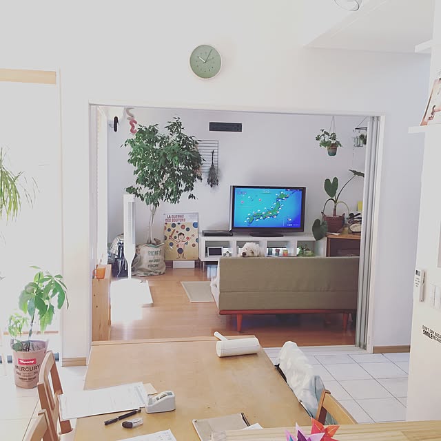 kijikijikoさんの実例写真