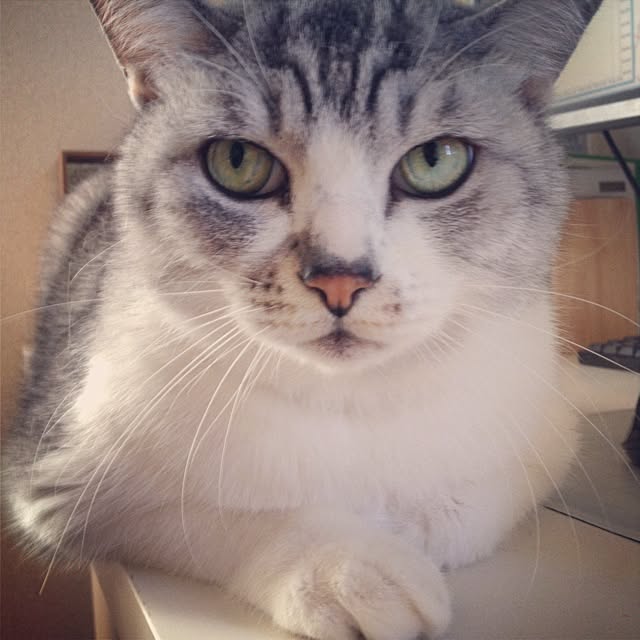 runtenさんの実例写真