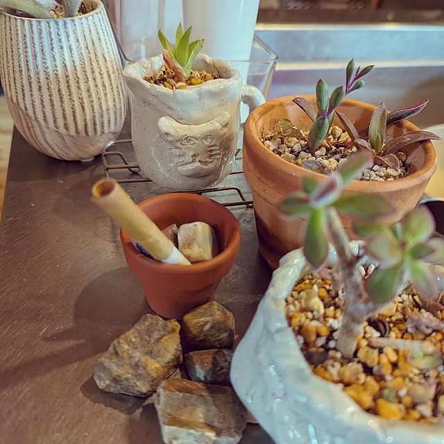 gin-chanさんの実例写真