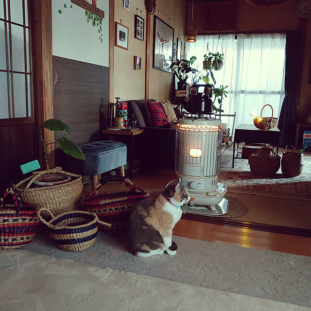 fukuさんの実例写真
