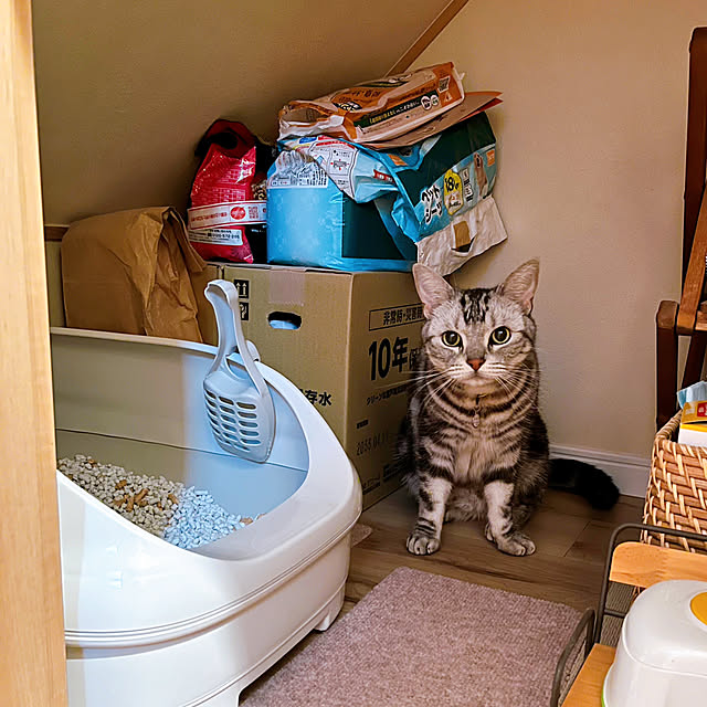 yuccoさんの実例写真