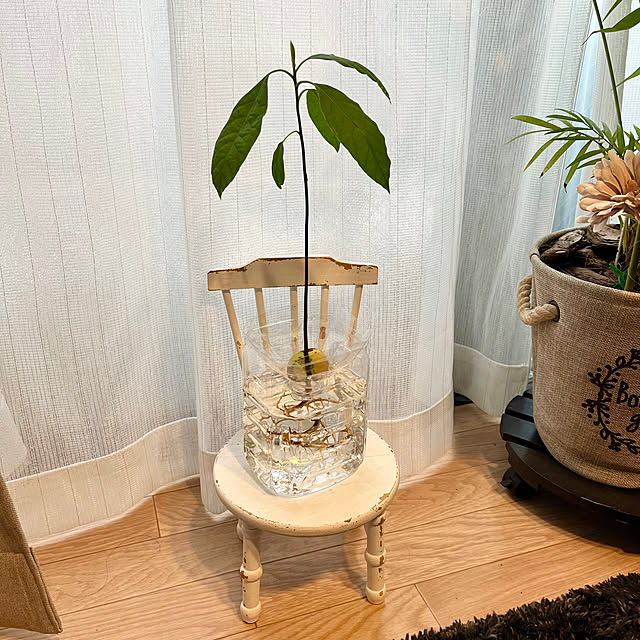 GowBooさんの実例写真