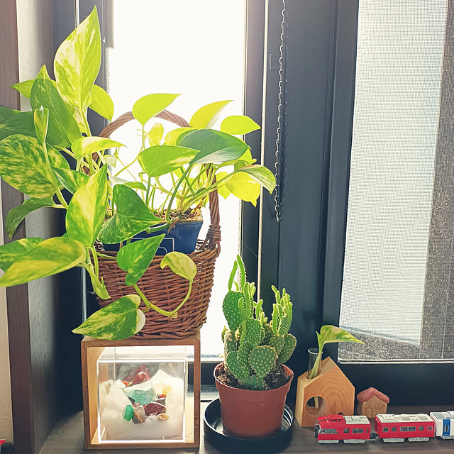 tomo5さんの実例写真