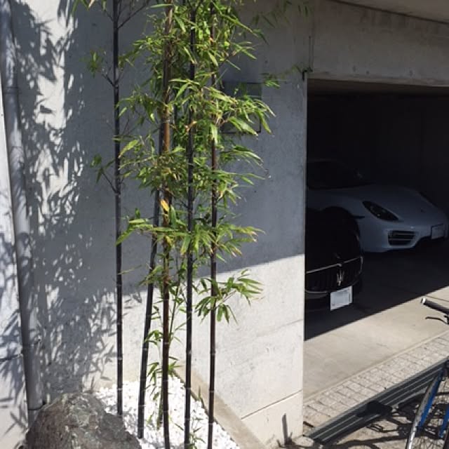 Akiraさんの実例写真
