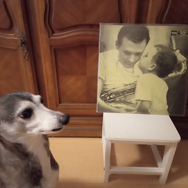 moruさんの部屋