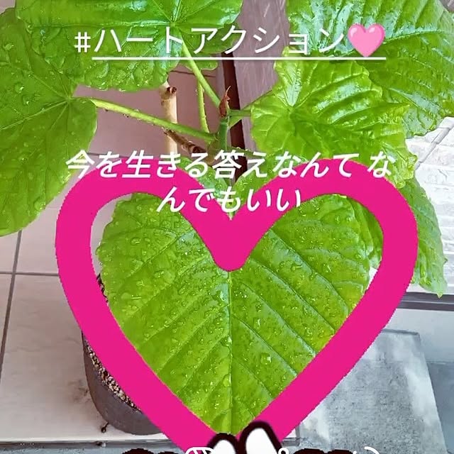 mocomocoさんの実例写真