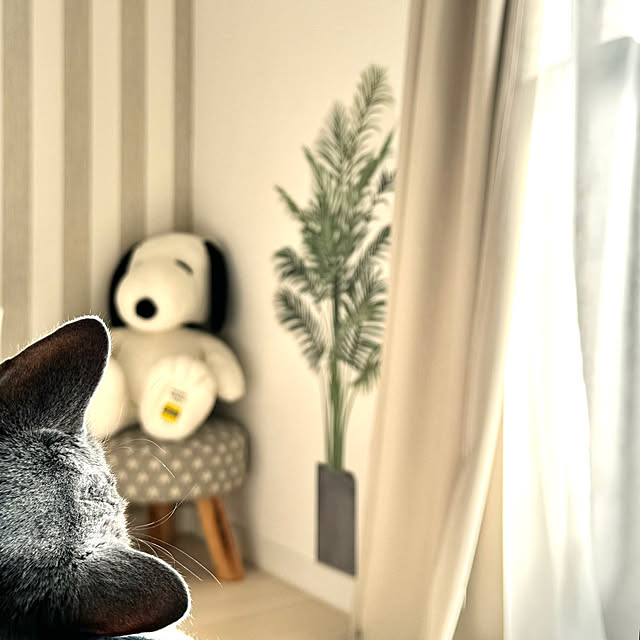 snoopyさんの部屋
