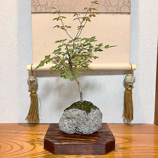tararaさんの実例写真