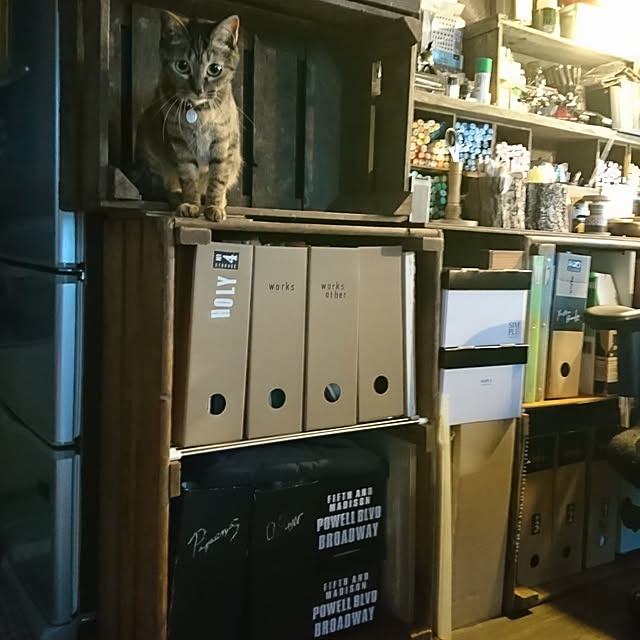 Kazukiさんの実例写真
