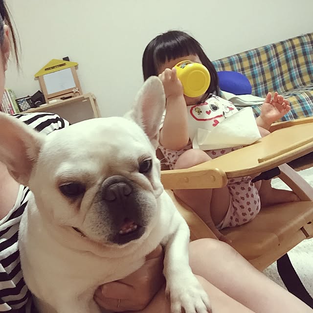 sorasakuさんの実例写真
