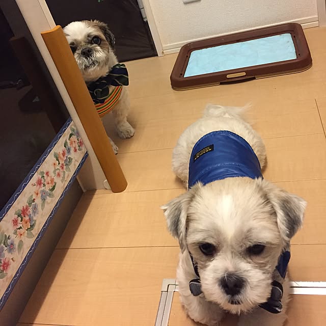 emiさんの実例写真