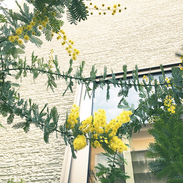 3303さんの実例写真