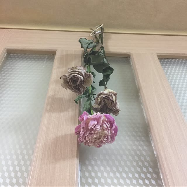 kojiro120513さんの実例写真