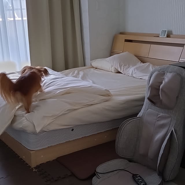toratanさんの部屋