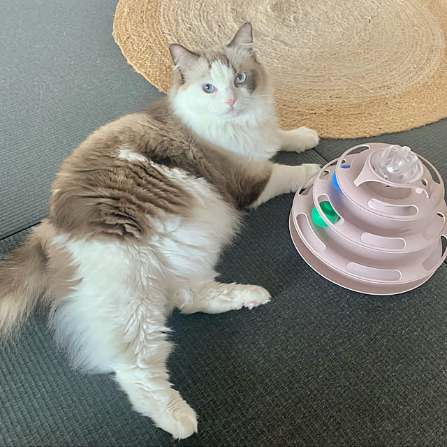 Micccaさんの実例写真