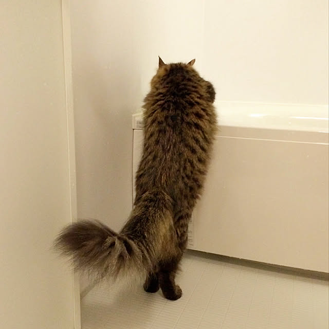 weさんの実例写真