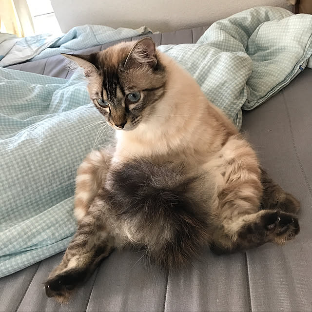 kazaneさんの実例写真