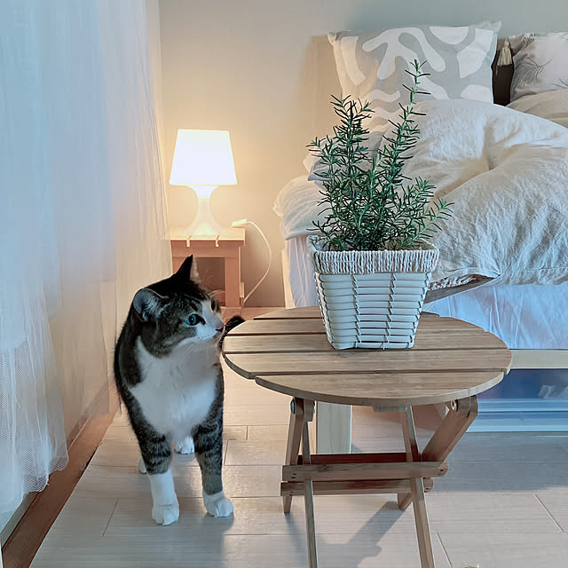 nekomiさんの部屋
