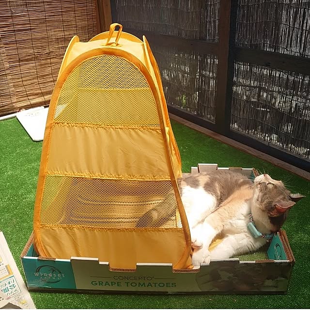 fukuさんの実例写真