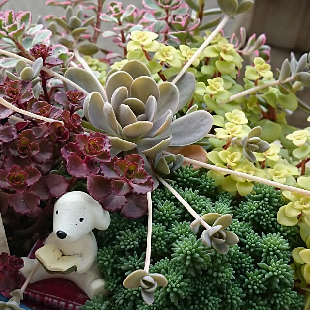 rookier05さんの実例写真