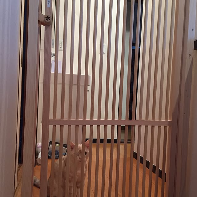 sirasu.nさんの実例写真